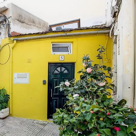 Tiny Little In The Centre Appartamento